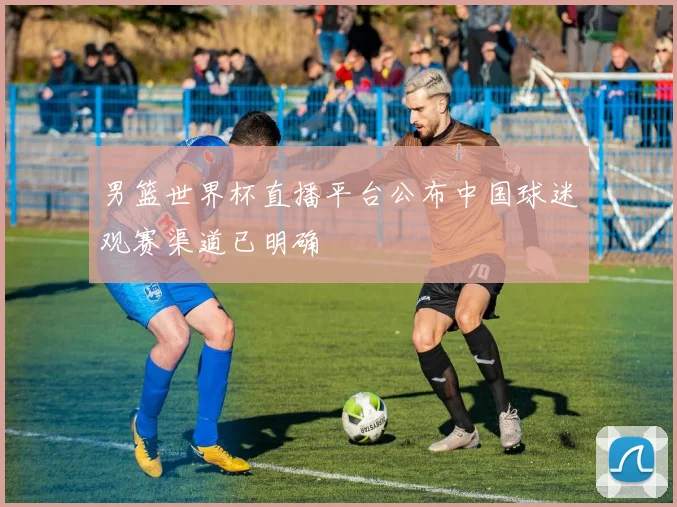 男篮世界杯直播平台公布中国球迷观赛渠道已明确